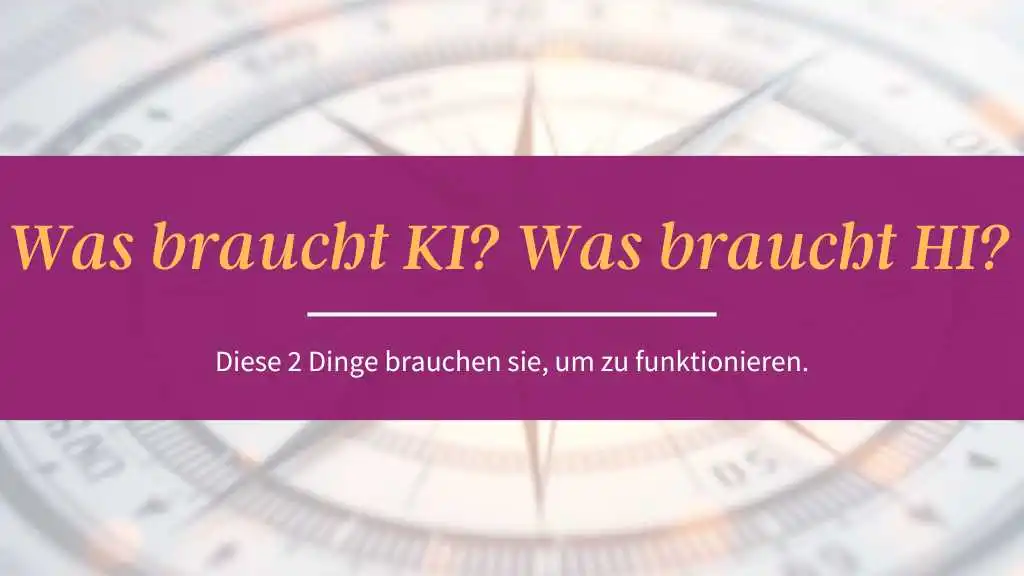 Was braucht KI? Was braucht HI?